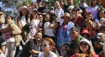 Clara Brugada presenta un ambicioso plan para proteger a los animales en la Ciudad