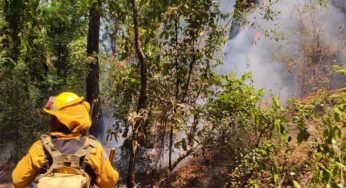 Delfina Gómez reconoce a la población civil que participa en el combate a los incendios forestales de Valle de Bravo