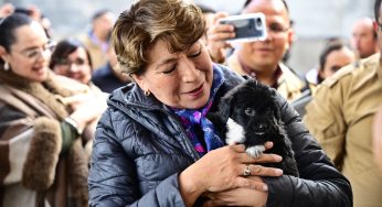 EdoMéx es pionero del Bienestar Animal; tenemos un legado de paz, afirma la Gobernadora Delfina Gómez en foro con seguridad y activistas