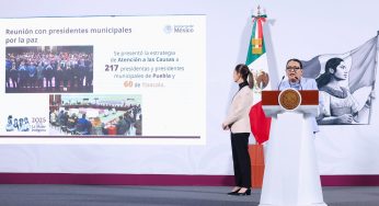 Operativos sociales, clave para la paz en México: Segob