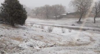 Se registra temperatura de -8 grados en Chihuahua
